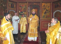 5  - 2006